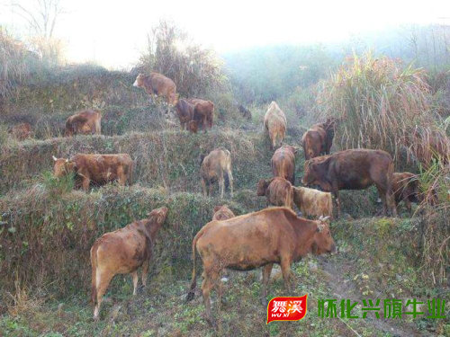 基地風(fēng)采